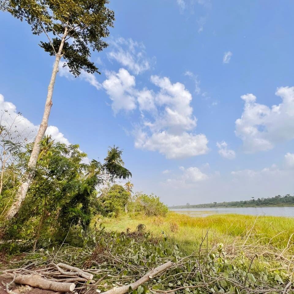 Berge herbeuse et plan d'eau bordé d'arbres au domaine de Kibouo.