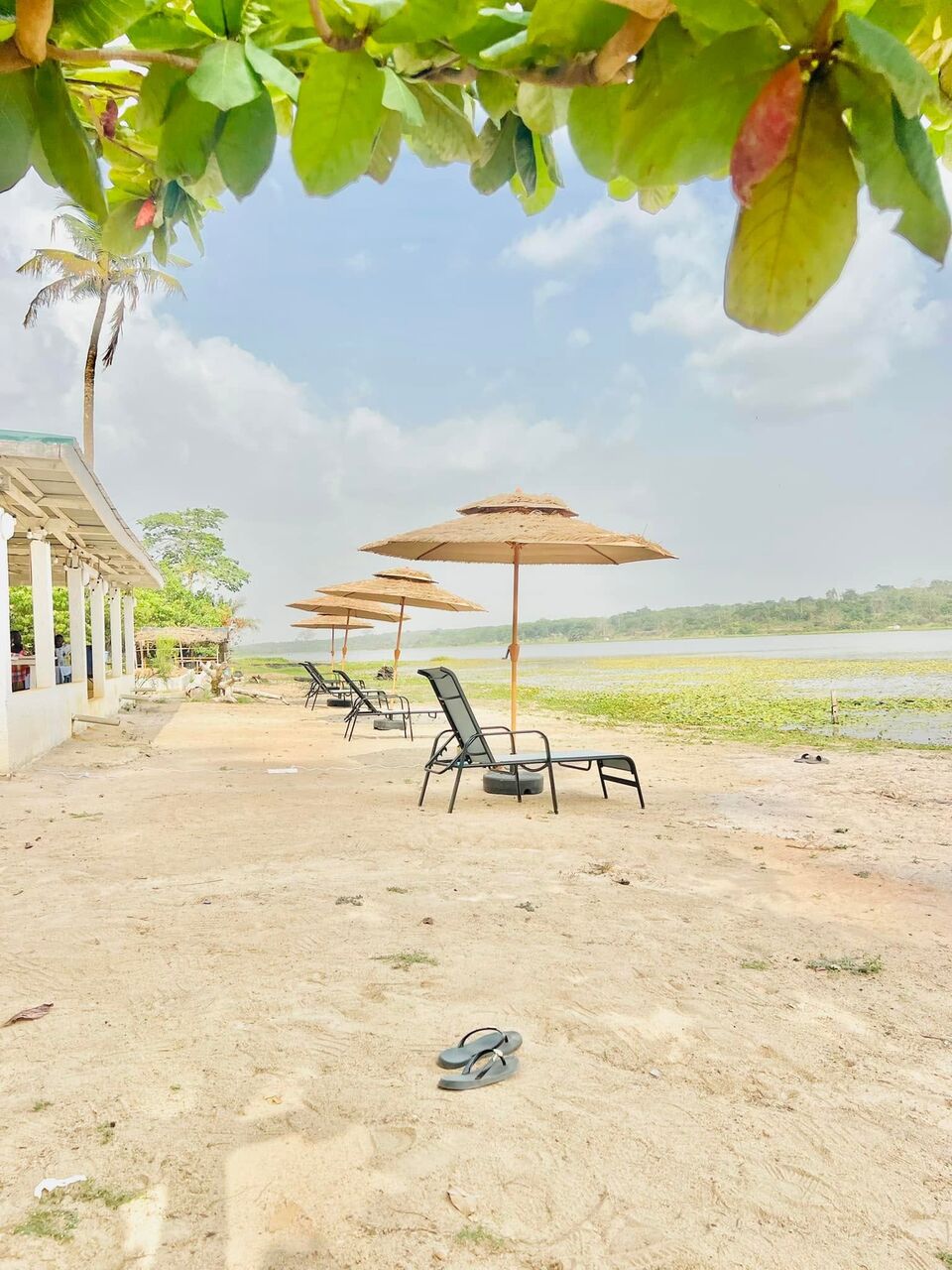 Parasols et transats sur la plage au bord du lac de Kibouo, domaine Pacifik Lodges.