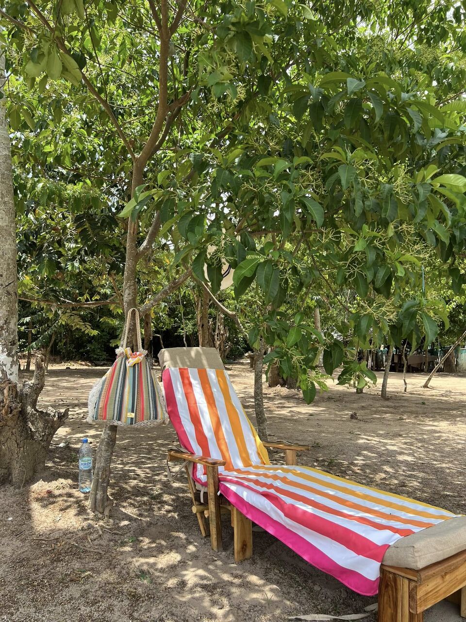 Transats rayés à l'ombre des arbres au domaine Pacifik Lodges de Kibouo.
