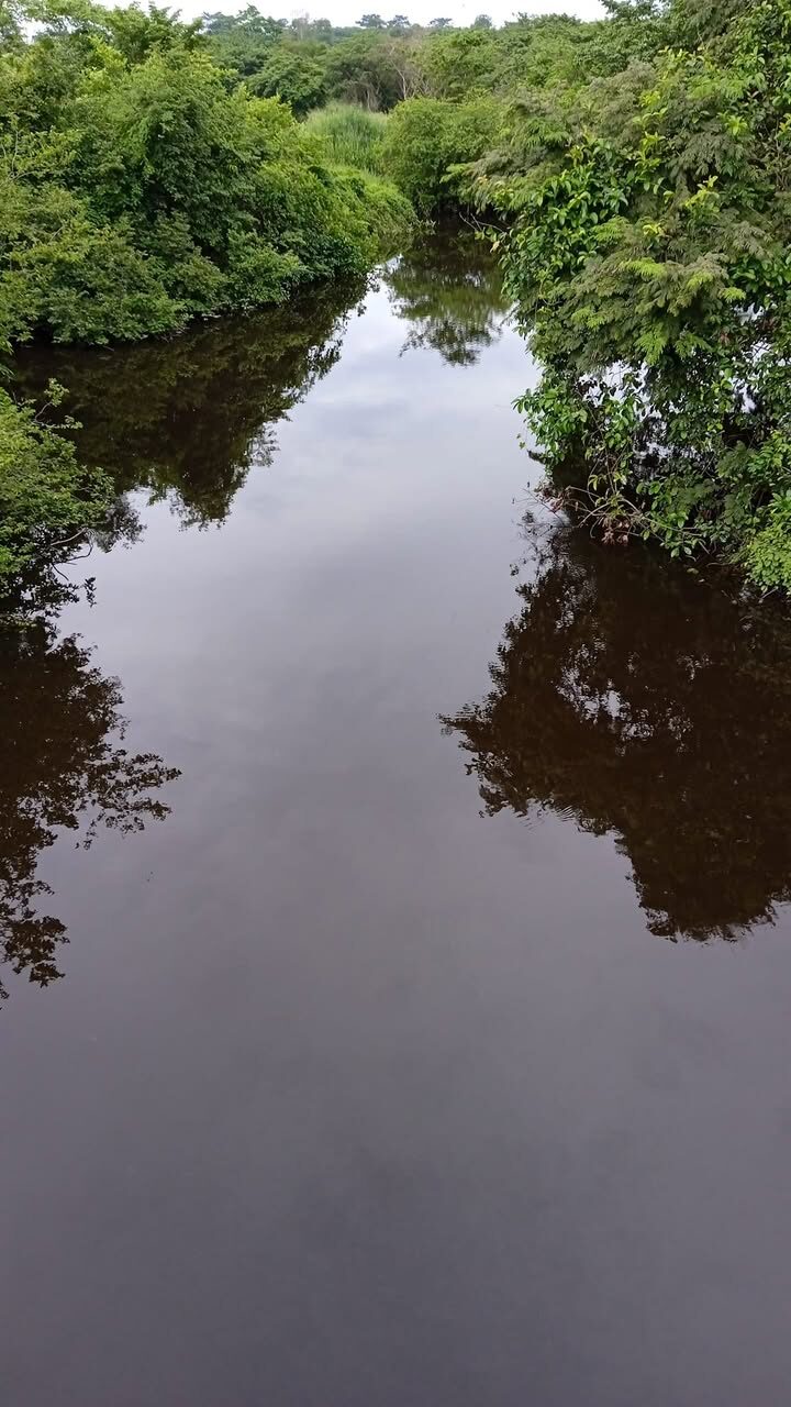La rivière Lobo bordée de forêt-galerie, ses eaux calmes reflétant les arbres.