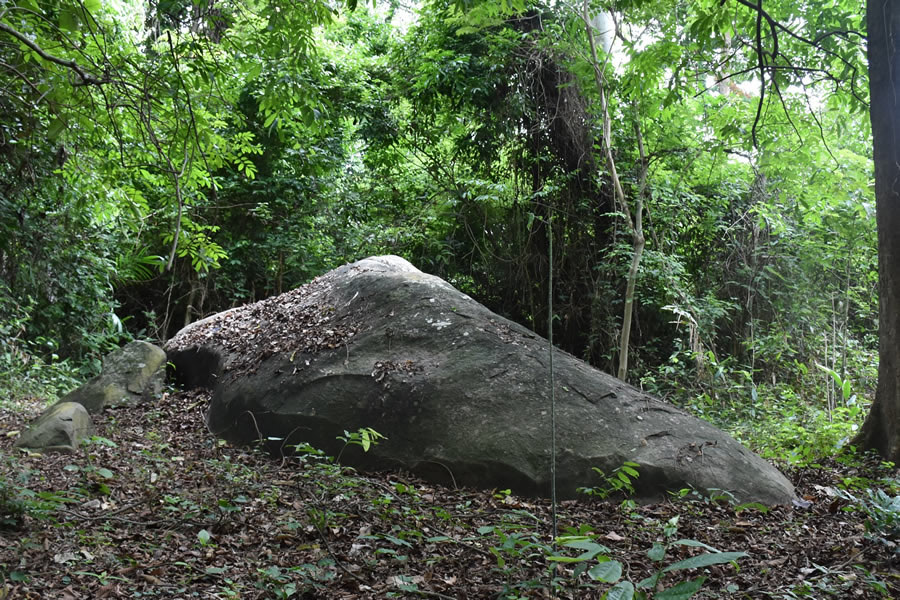 La Roche-éléphant de Brizéboua, site sacré du Haut-Sassandra près de Daloa, au cœur de la forêt.